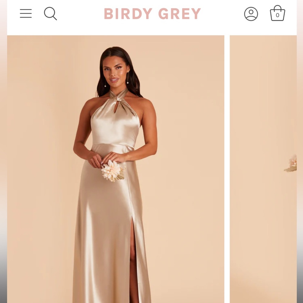 Monica Neutral Champagne Dress Birdy Grey